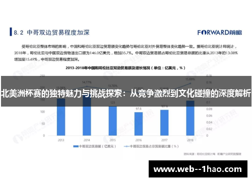 北美洲杯赛的独特魅力与挑战探索：从竞争激烈到文化碰撞的深度解析