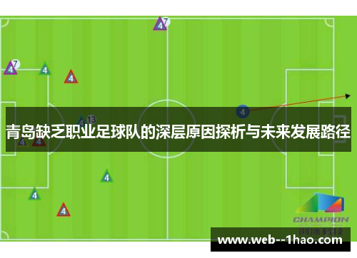 青岛缺乏职业足球队的深层原因探析与未来发展路径