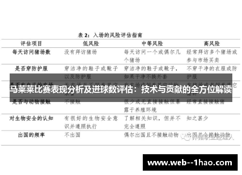 马莱莱比赛表现分析及进球数评估：技术与贡献的全方位解读
