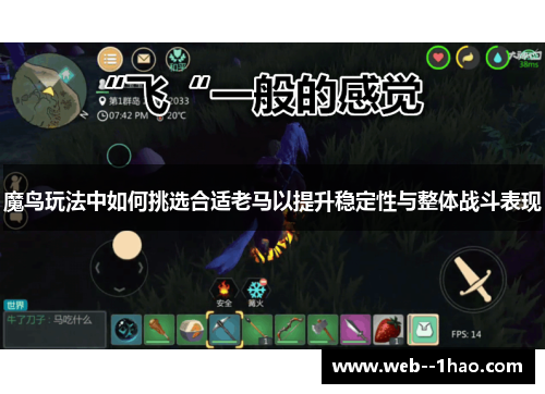 魔鸟玩法中如何挑选合适老马以提升稳定性与整体战斗表现