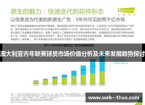 澳大利亚青年联赛球员市场价值分析及未来发展趋势探讨 澳大利亚青年联赛球员市场价值分析及未来发展趋势探讨
