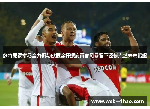 多特蒙德拼尽全力仍与欧冠奖杯擦肩青春风暴留下遗憾点燃未来希望