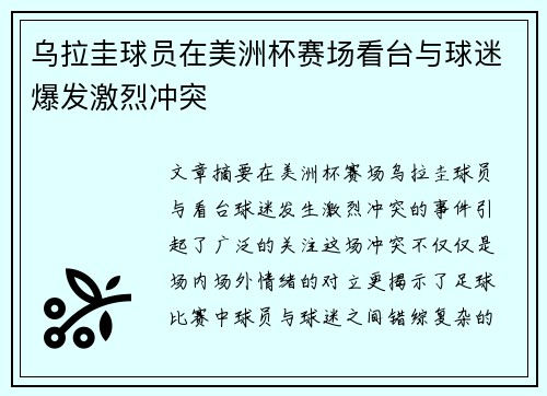 乌拉圭球员在美洲杯赛场看台与球迷爆发激烈冲突 乌拉圭球员在美洲杯赛场看台与球迷爆发激烈冲突