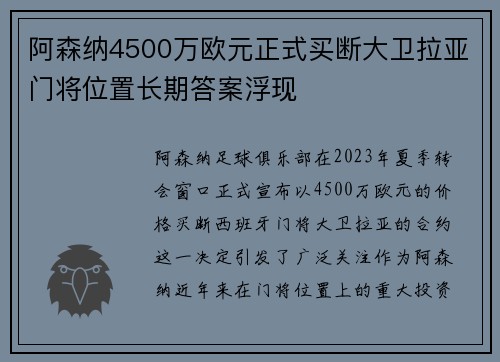 阿森纳4500万欧元正式买断大卫拉亚门将位置长期答案浮现
